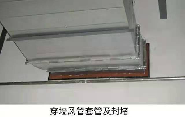 p3.1.jpg