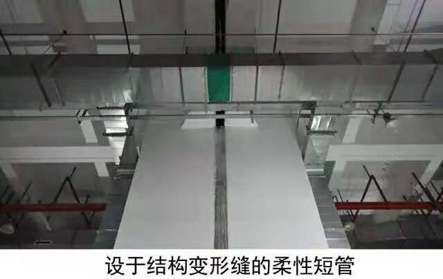 P2.3.jpg